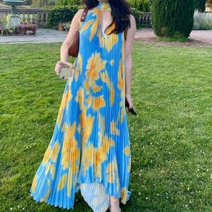 L'Idée

Opera Pleated Asymmetric Gown